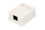 Extralink pindpaigaldatav pesa, 1x RJ45 CAT5E UTP