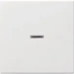 Gira 029003 valge