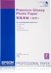 Epson Premium Glossy Photo Paper, DIN A2, 255g/m&sup2;, 25 lehte