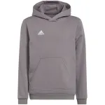 adidas Entrada 22 Dress Medium Grey Heather Lastele 128 cm