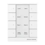 Busch-Jaeger free@home juhtelement, Alpine White, 2-kordne 2CKA006220A0886