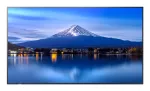 Sharp MultiSync PN-P556 P-seeria suurformaatekraan 55 tolli (139,7 cm), 4K UHD, 700 cd/m&sup2;, D-LED, 24/7, SDM-pesa