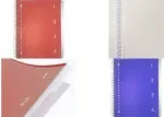 Kangaro College Block 4-in-1, DIN A4, 100 lehte, jooneline, punane PP kaaned, 80 g/m&sup2; paber, 4 liigutatavat vahelehte - 1 tk (K-58380)
