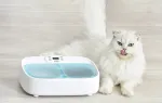 PETONEER Two-Meal Feeder Smart Bowl with Cooling