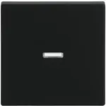 Busch-Jaeger rocker Must matte 1789 N-885 (2CKA001751A3154)