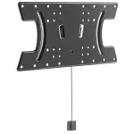 Techly &otilde;huke seinakinnitus OLED-telerile 32-65 tolli must, 81,3 cm (32 tolli), 165,1 cm (65 tolli), 30 kg, 100 x 100 mm, 400 x 200 mm, must