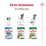 M&auml;rg koeratoit Royal Canin Mini Adult kotike 85 g, linnuliha, v&auml;ikestele t&otilde;ugudele 5&ndash;10 kg, 12 &times; 85 g pakend