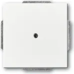 BUSCH JAEGER 1710-0-3161 - Wei&szlig; - konventionell - Busch-Jaeger - 63 mm - 63 mm - 1 St&uuml;ck(e)