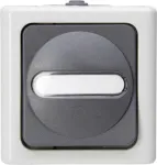 Heinrich Kopp Kreuzschalter AP-Feuchtraum BLUE ELECTRIC Grey 10A 250V IP44 Surface-Mounted Changeover Switch