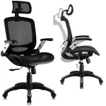 MOZOS ERGO-C Premium Ergonomic Office Chair with Mesh Backrest, Black