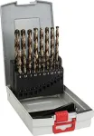 Bosch &lrm;2608587014 19 tk