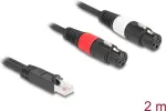 DeLOCK 88176 helikaabel 2 m RJ-45 2 x XLR 3-kontaktiline must
