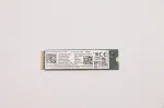 Lenovo SSDASM 256GM.22280PCIe4x4UMOPAL (5SS0W79512)