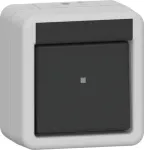 GIRA Wippschalter 310230 Aus 2-p WG AP gr (310230)