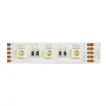 Synergy 21 LED Flex Strip 5050 - 60 RGB DC24V + RGB-W one chip KW IP20