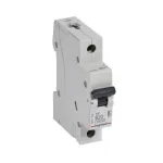 Kaitsel&uuml;liti Legrand 419137 B20A 1P 6kA &mdash; B20A &uuml;hepooluseline miniatuurkaitsel&uuml;liti, 6 kA lahutusv&otilde;ime