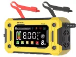 Tracer 47777 DT128 Alaldi 12V 8A Diagnostika ja Hooldus