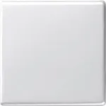 Gira 029603 valge