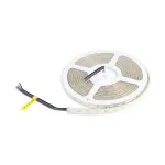 Synergy 21 LED Flex Ribal 5050 - 60 RGB DC24V + RGB-W &uuml;he kiibiga SWW IP65