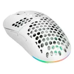 GAMIAC PX71 hiir Gaming M&otilde;lemak&auml;eline RF juhtmevaba + USB Type-A optiline 16000 DPI