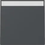 Gira System 55 klahv Anthracite Matt 329928