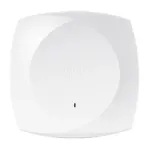 Traadita p&auml;&auml;supunkt Cisco 9176D1-CFG 2,4GHz 5GHz 6GHz