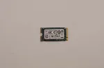 Lenovo 256GB M.2 2242 PCIe Gen3 x4 NVMe sisemine SSD (5SS0V26422)