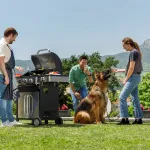 Black+Decker BXOG12950E gaasigrill, 3 p&otilde;letiga