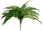 EUROPALMS Boston Fern Kunsttaim, 53cm, Roheline 82519934