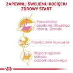 Kuiv kassitoit Royal Canin Maine Coon Kitten 2 kg &mdash; linnuliha, valk 36%, rasv 23%