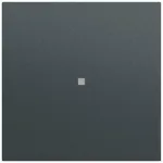 Gira System 70 klahv juhtaknaga, antratsiit (329073)