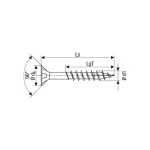 SPAX universaalkruvid T30 6x100 100 tk