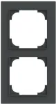BUSCH-JAEGER 1722-45M raam 2-kohaline must matt (2CKA001754A4848)