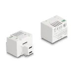 DeLOCK Keystone Module 41479 2 x USB USB-C PD 20W Valge