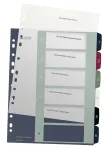 Leitz Index PC Printable 1-6 Style PP A4+, Numbriline vaheleht, Pol&uuml;prop&uuml;leen (PP), Mitmev&auml;rviline, Portree, A4 Maxi, 245 mm