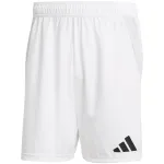 adidas Tiro 24 Competition Match Shorts Meeste Valge