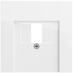 Gira 027670 System 70 TAE/USB pistikupesa kate, l&auml;ikiv valge