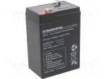 Pliiaku taaslaetav aku europower EP4.5-6 6V 4.5Ah