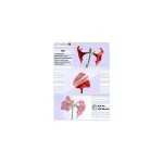Lamineerimistasku Olympia 1x100 DIN A5 125 mikronit