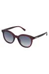 NINA RICCI Naiste P&auml;ikeseprillid SNR264-500AFD Havana Pruun Gradient Liblikas