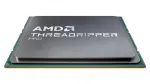 AMD Ryzen Threadripper Pro 7965WX - 5,3 GHz - 24 tuuma - pesa SP6 - 152 MB vahem&auml;lu - 350 W - WOF
