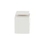 BUSCH-JAEGER pime moodul Keystone valge 0229/02 (2CKA000230A0484)