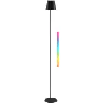 Goobay juhtmevaba LED p&otilde;randalamp, suurus XL, 122 cm, RGBW, must 76573