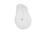 NATEC Crake 2 hiir, universaalne, paremak&auml;eline, RF juhtmevaba + Bluetooth optiline 2400 DPI