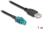 DeLOCK kaabel HSD Z emane - USB 2.0 t&uuml;&uuml;p-A-pistik 1 m