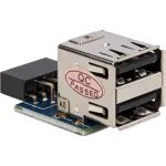 DELOCK pistik 1 x 9-kontaktiline 2,54 mm / 2 x USB 2.0-A 41825