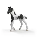 Schleich Horse Club Sammelfohlen Rocky