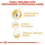 Royal Canin Bengal Adult kuivtoit kassidele, 2 kg, linnuliha ja k&ouml;&ouml;giviljad