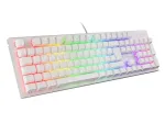 Mehaaniline m&auml;nguklaviatuur genesis Thor 303 pruunide l&uuml;litite ja RGB taustvalgustusega