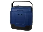 BLOW Tourist Car Fridge 35L - Thermoelectric Portable Cooler 12V/230V